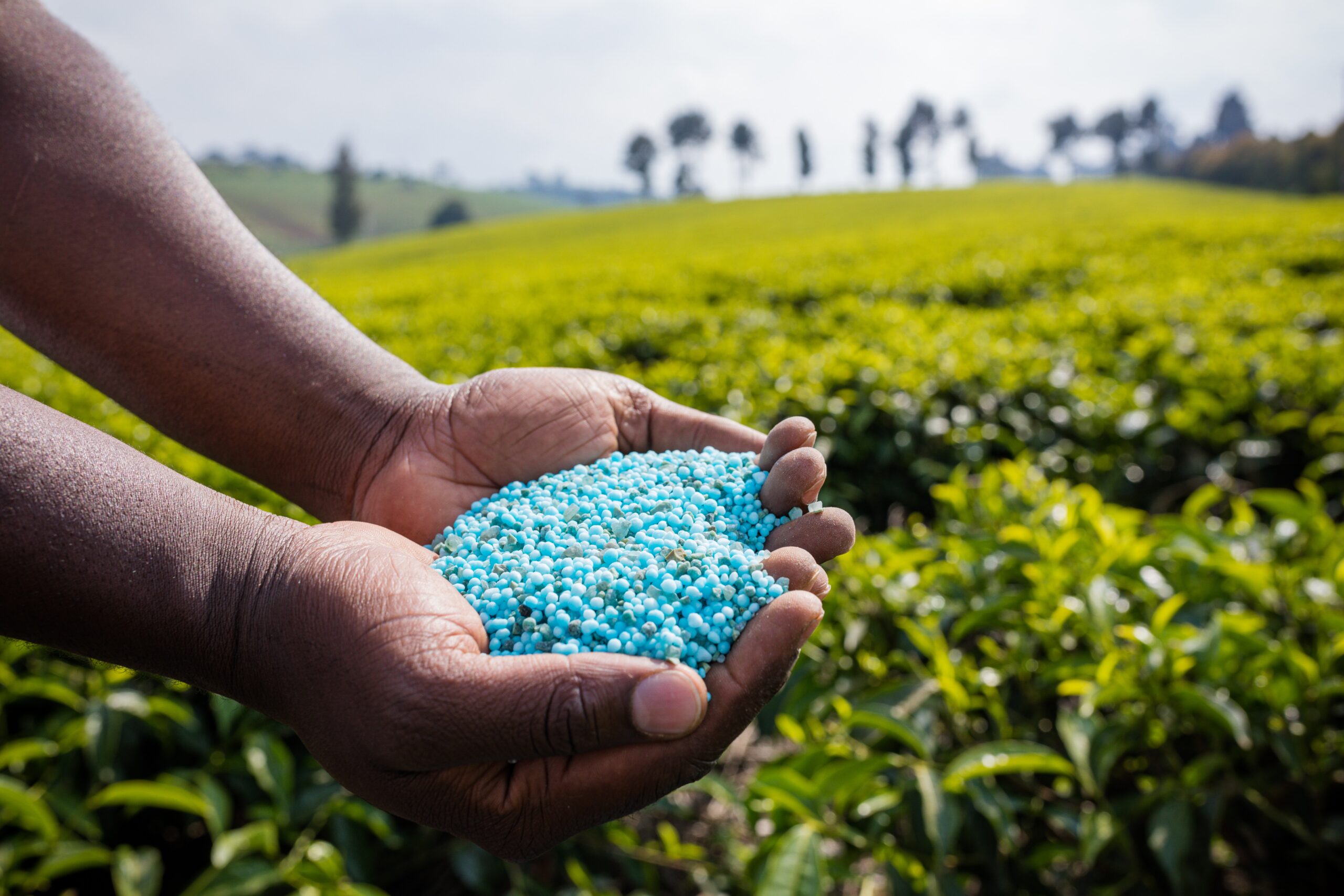 Momento é favorável para investir em fertilizantes, aponta índice