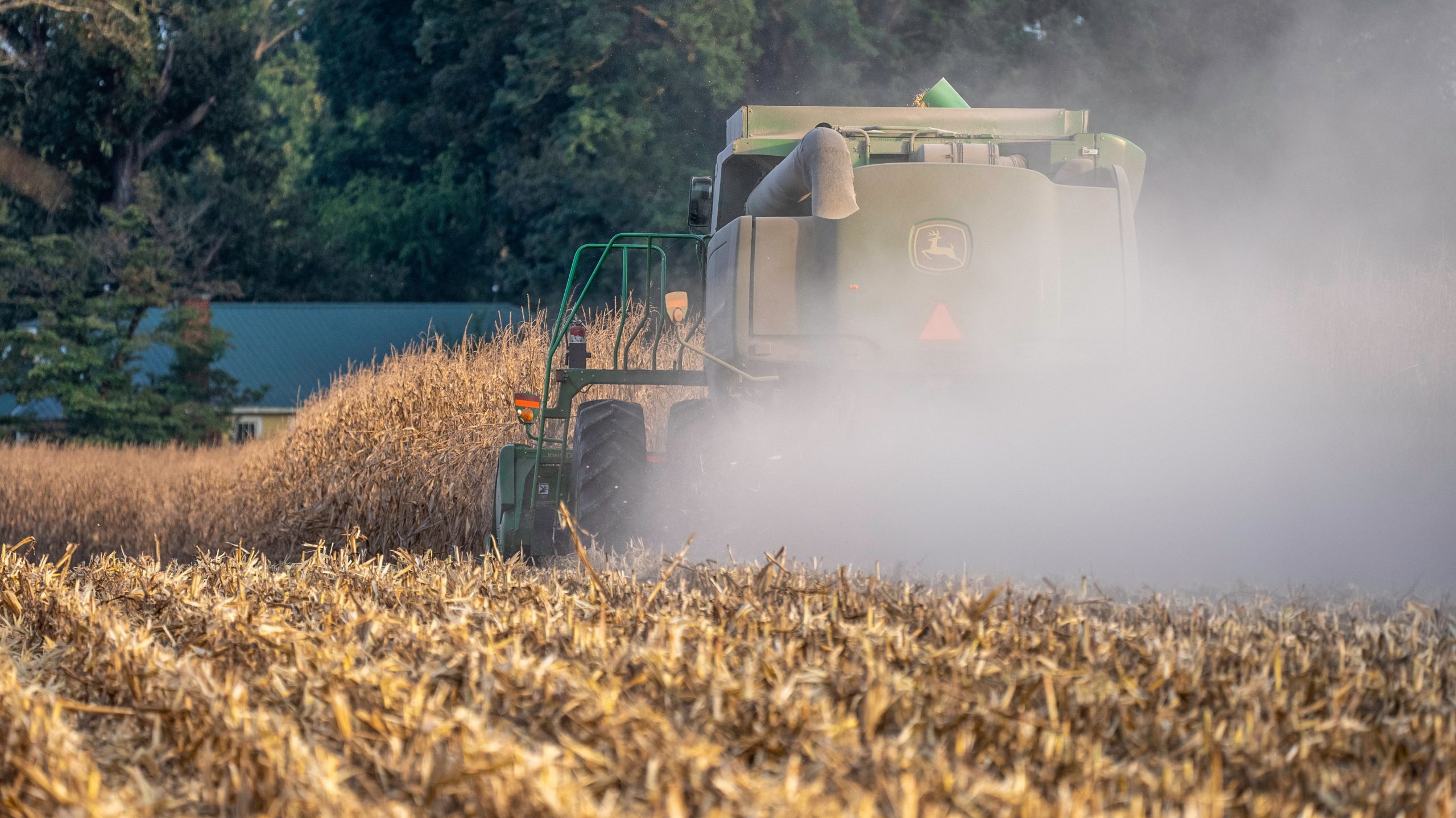 Colheita de milho no Brasil atinge 77,88% apesar de chuvas ao sul, diz Pátria AgroNegócios