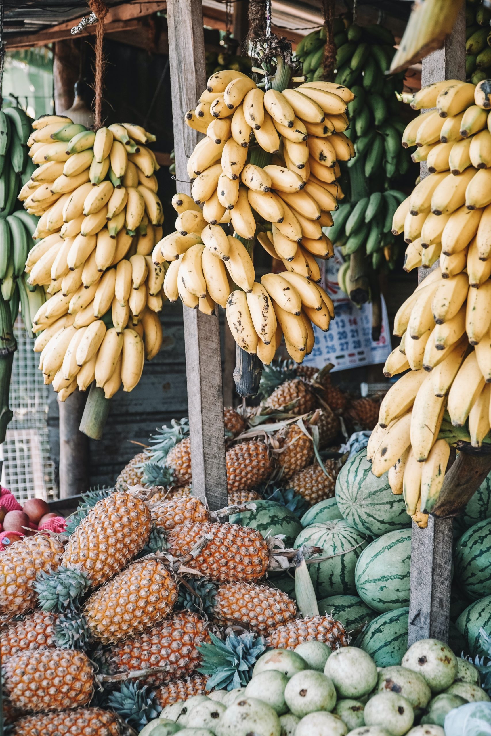 Brasil ainda tem participação tímida da agricultura familiar no comércio exterior, diz ministro