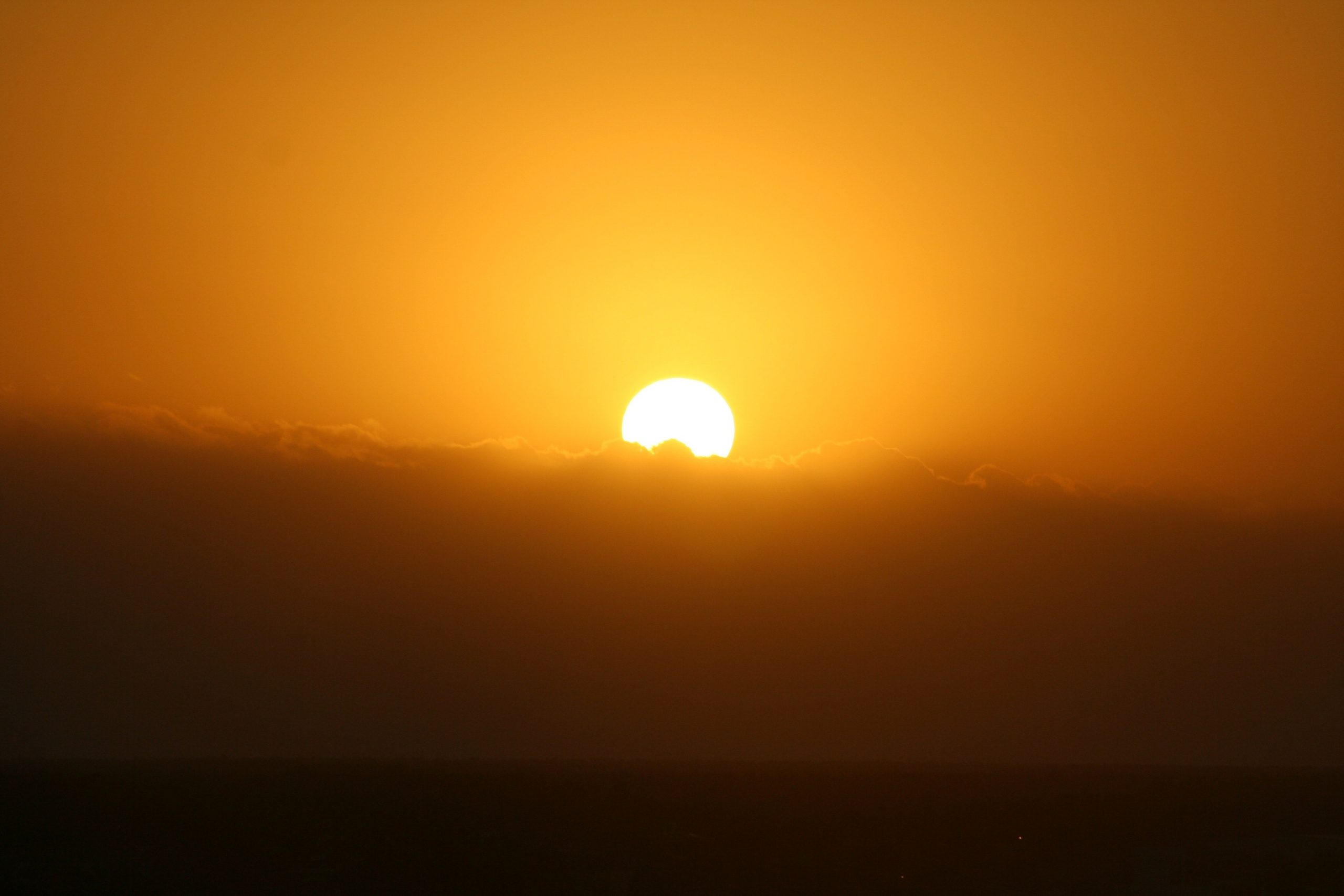 Calor extremo: como altas temperaturas impactam o trabalhador rural