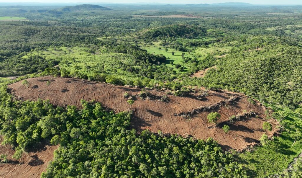 Inã: Semad lança plataforma de fiscalização e controle ambiental