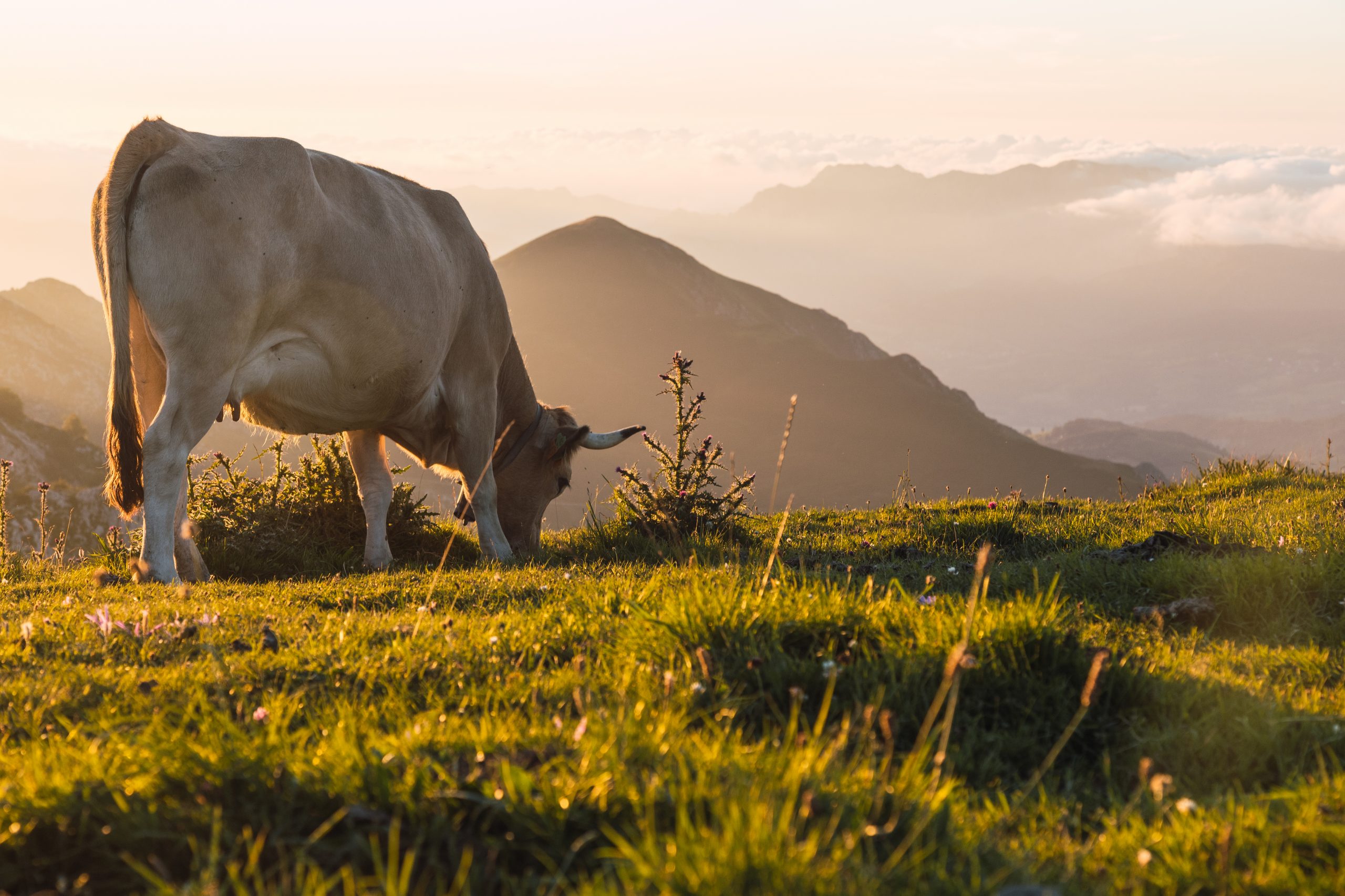 Em R$ 10,9 trilhões, agropecuária puxa alta de 2,9% na economia brasileira