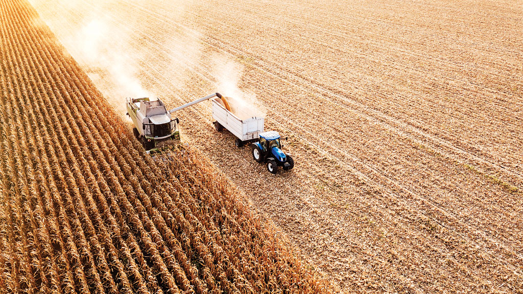 Exportações do agronegócio no primeiro trimestre de 2024 avançam 4,5% em relação ao mesmo período de 2023